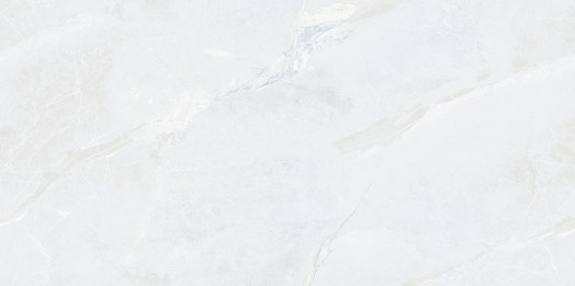 S12020 L
