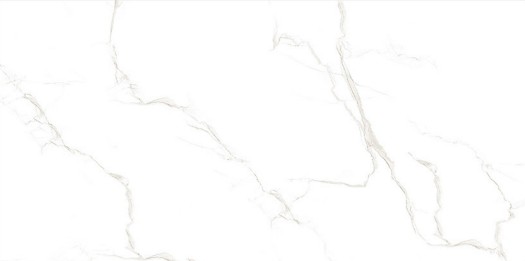 S12028 L